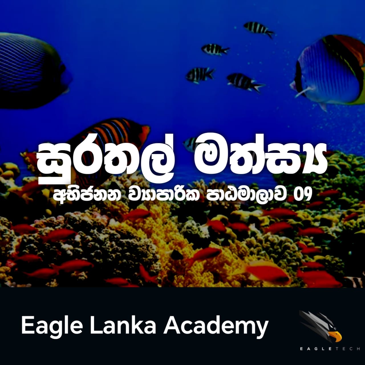FISH BREEDING COURSE 09 BATCH